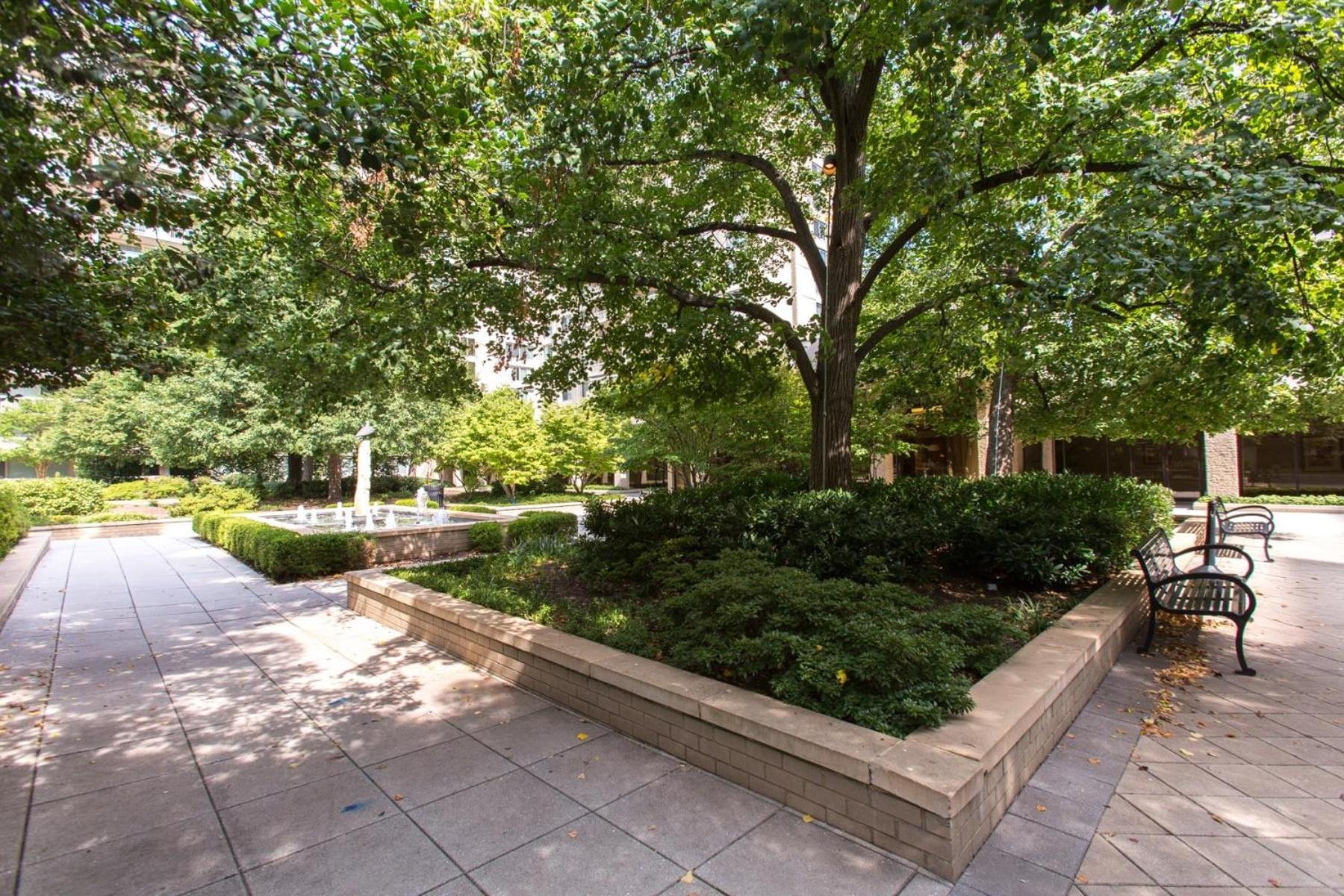 Spacious 2 Bedrooms Apt @Crystal City With Gym Arlington Eksteriør billede